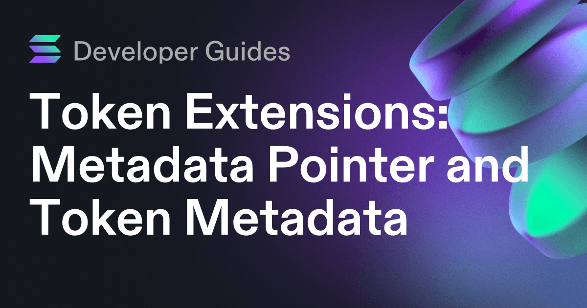 How to use the Metadata Pointer extension